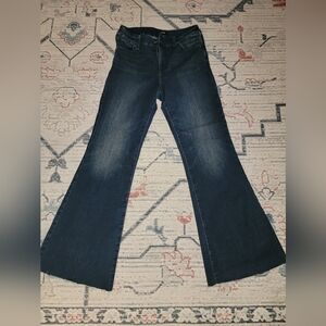 Express Stretch Flare Jeans